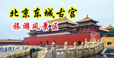 91黑丝人妻中国北京-东城古宫旅游风景区